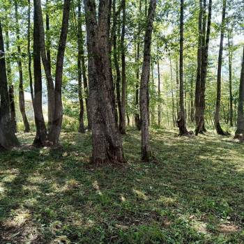 Продается Участок, 1940 м²