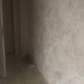 Сдается 2-х комнатная квартира, 43 м²