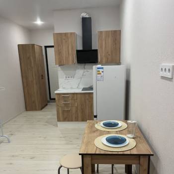 Сдается 1-комнатная квартира, 24,4 м²