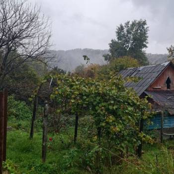 Продается Участок, 600 м²