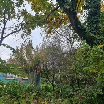 Продается Участок, 600 м²