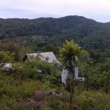 Продается Участок, 460 м²