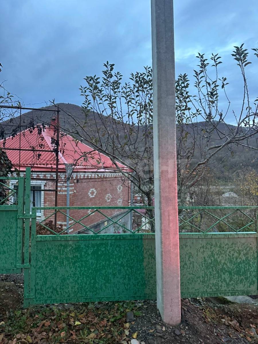 Фотография №13