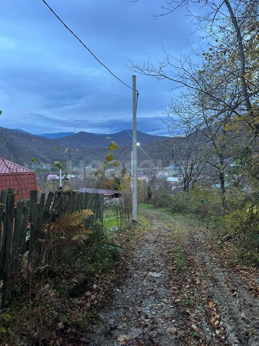 Фотография №14