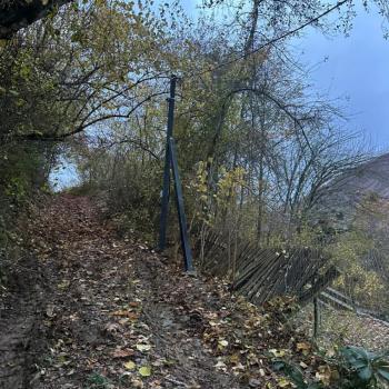 Продается Участок, 800 м²