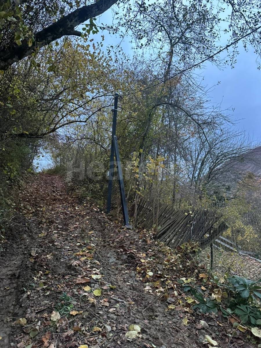 Фотография №15