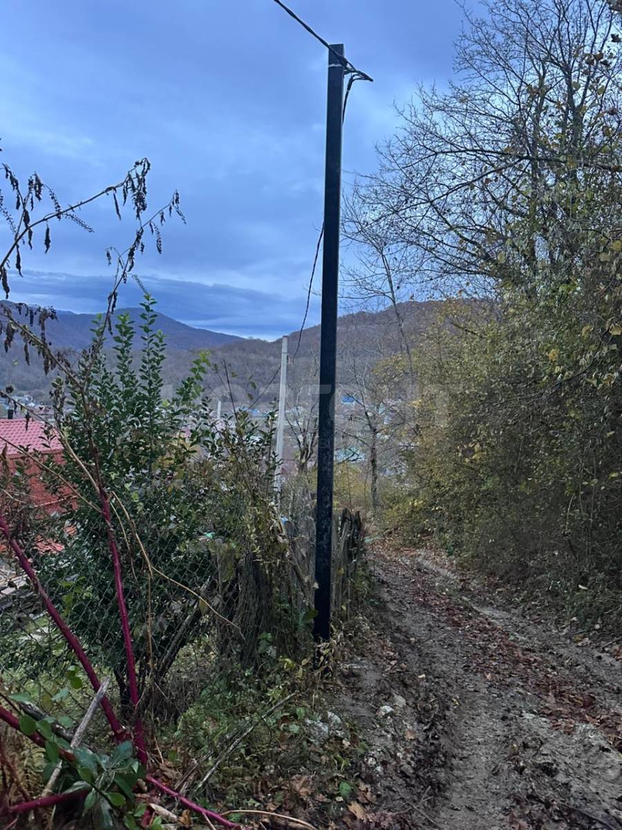 Фотография №16