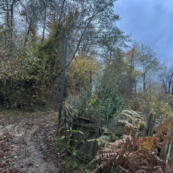 Продается Участок, 800 м²