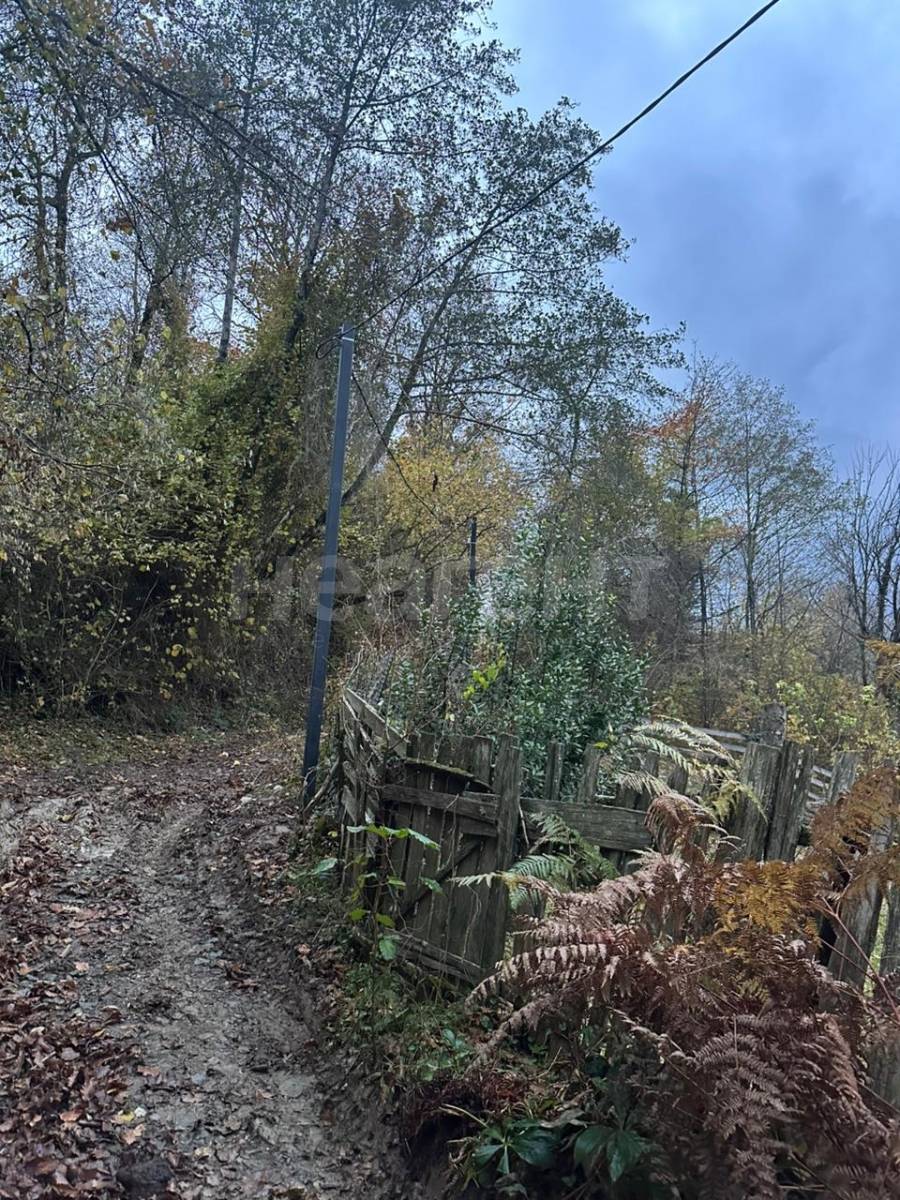 Фотография №17