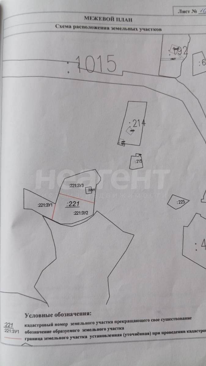 Фотография №19