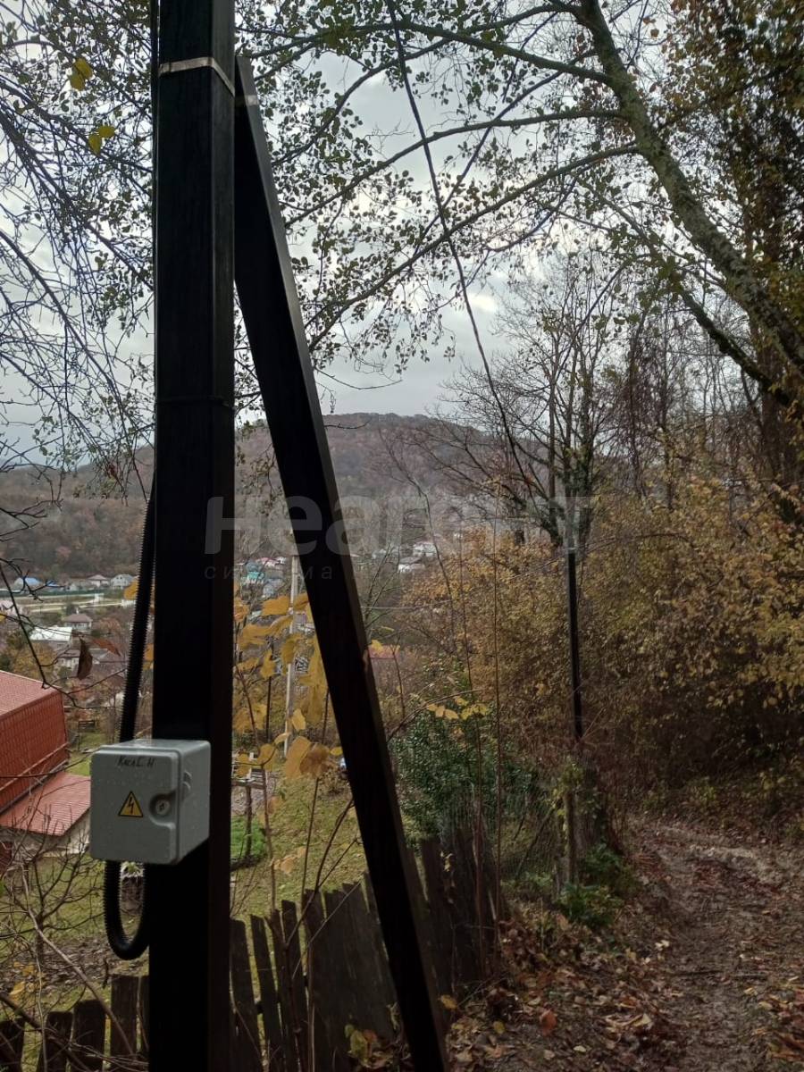 Фотография №6