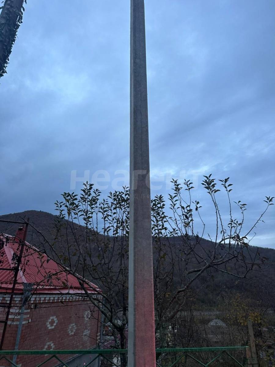 Фотография №7