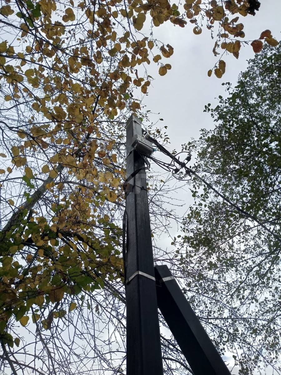 Фотография №8