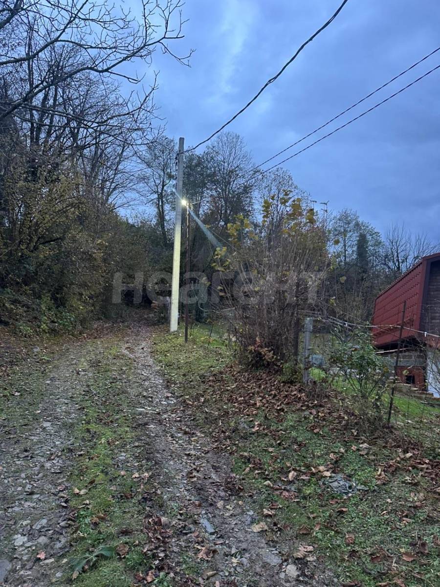 Фотография №11