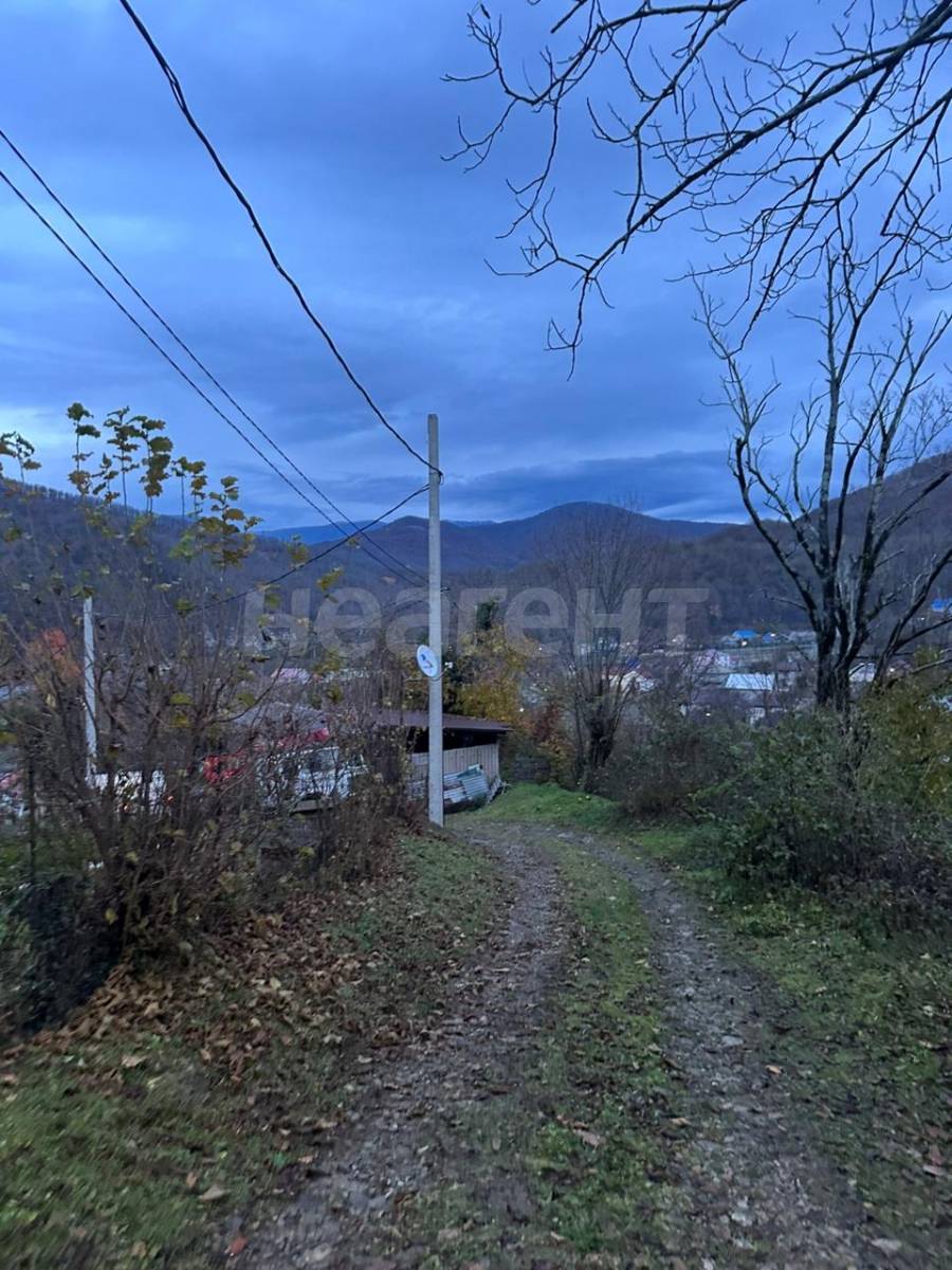 Фотография №12