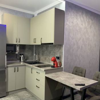 Продается 1-комнатная квартира, 24,5 м²