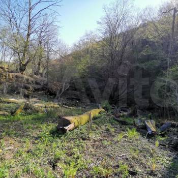 Продается Участок, 3600 м²