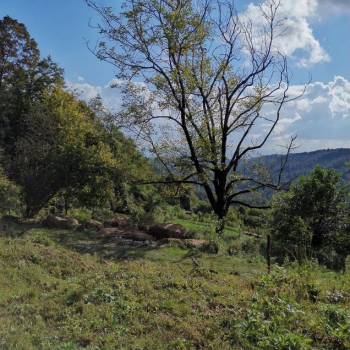 Продается Участок, 3600 м²