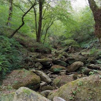 Продается Участок, 3600 м²