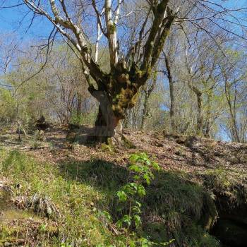 Продается Участок, 3600 м²