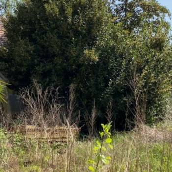 Продается Участок, 0 м²