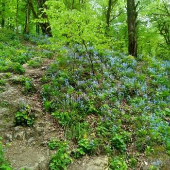 Продается Участок, 450 м²