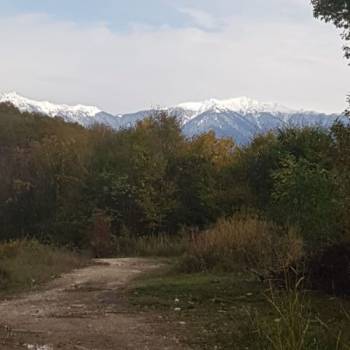 Продается Участок, 0 м²