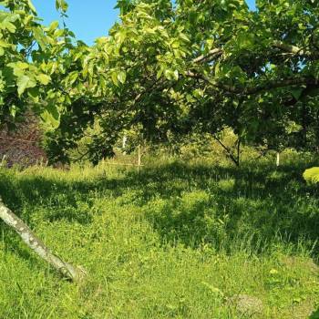 Продается Участок, 0 м²