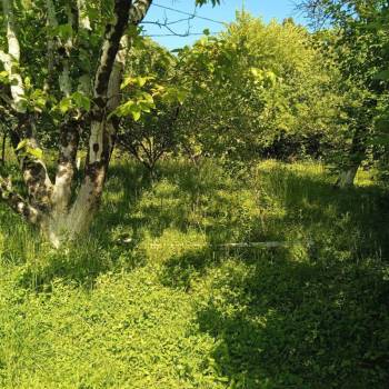 Продается Участок, 0 м²