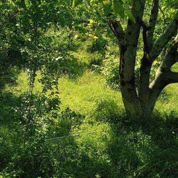 Продается Участок, 0 м²