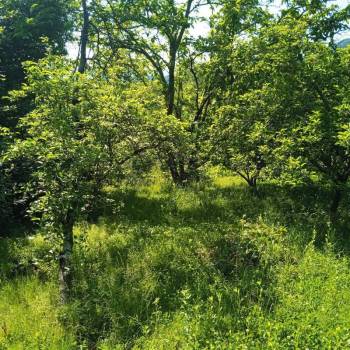 Продается Участок, 0 м²