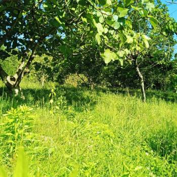 Продается Участок, 0 м²