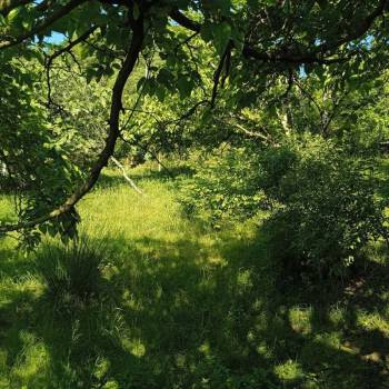 Продается Участок, 0 м²