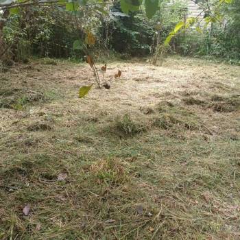 Продается Участок, 0 м²