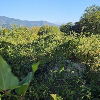 Продается Участок, 580 м²