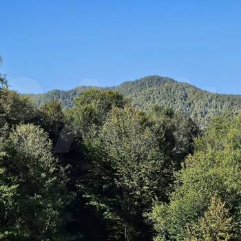 Продается Участок, 580 м²