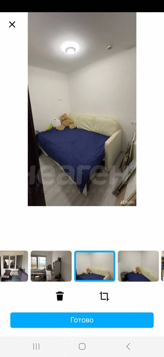 Фотография №5