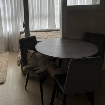 Продается 1-комнатная квартира, 31,4 м²