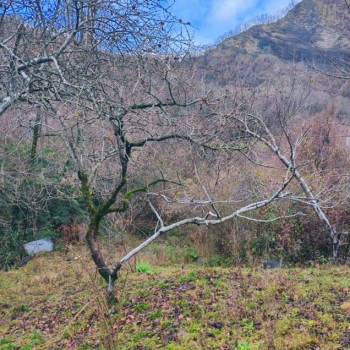 Продается Участок, 460 м²