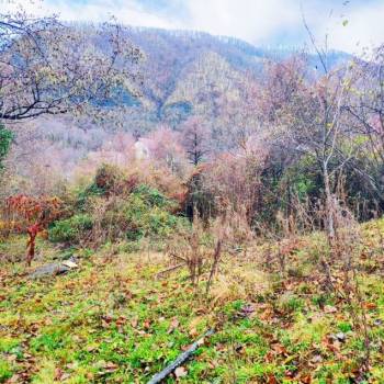 Продается Участок, 460 м²