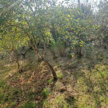 Продается Дом, 190 м²