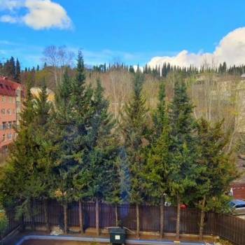 Продается 1-комнатная квартира, 19,3 м²