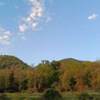 Продается Участок, 1600 м²