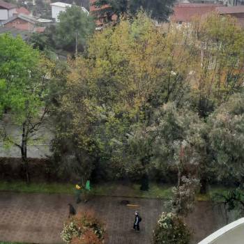 Продается 2-х комнатная квартира, 51 м²