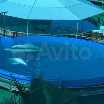 Сдается Многокомнатная квартира, 50 м²