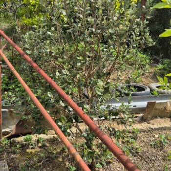 Продается Дом, 201 м²