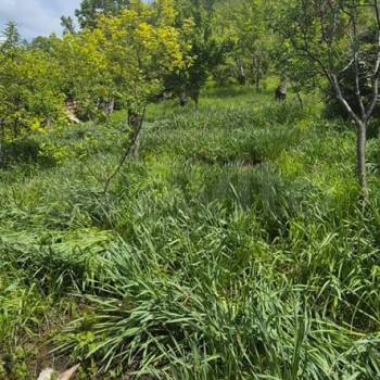 Продается Дом, 201 м²