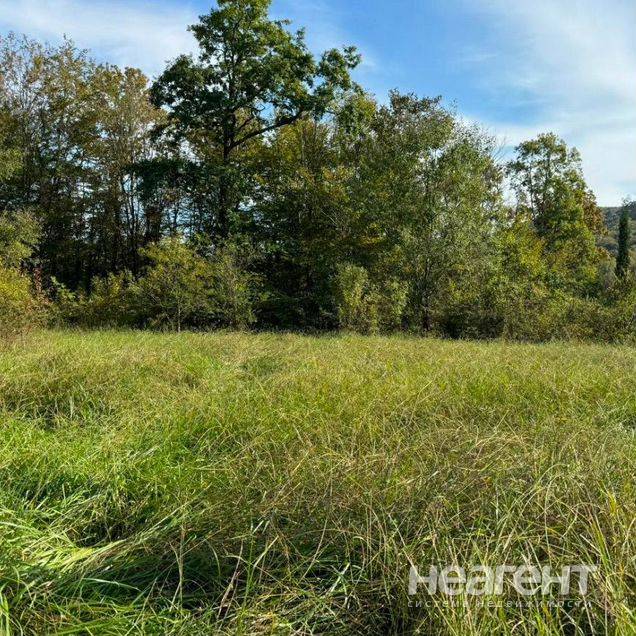 Продам участок, Раздольное (ИЖС)