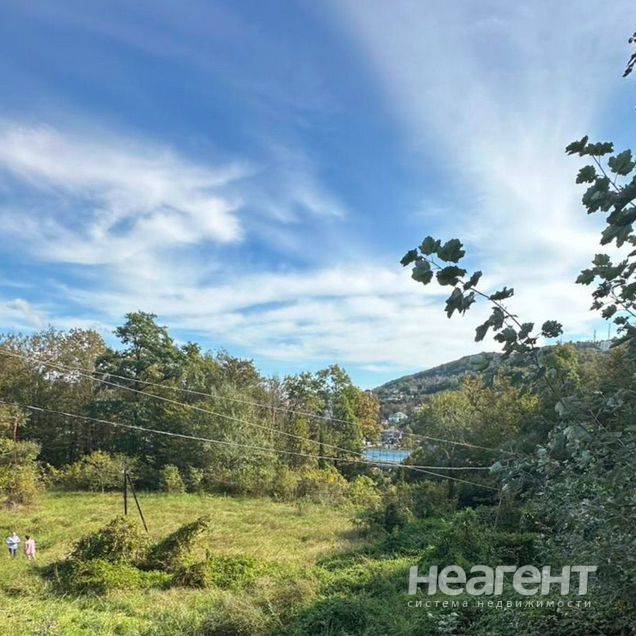 Фотография №3