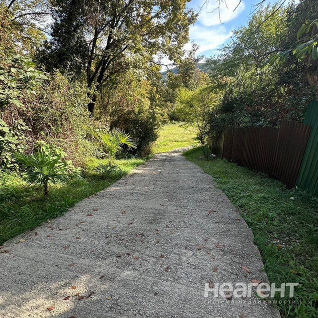 Фотография №5